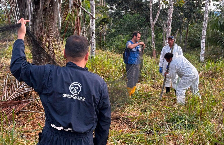 control rabia herbívoros ecuador