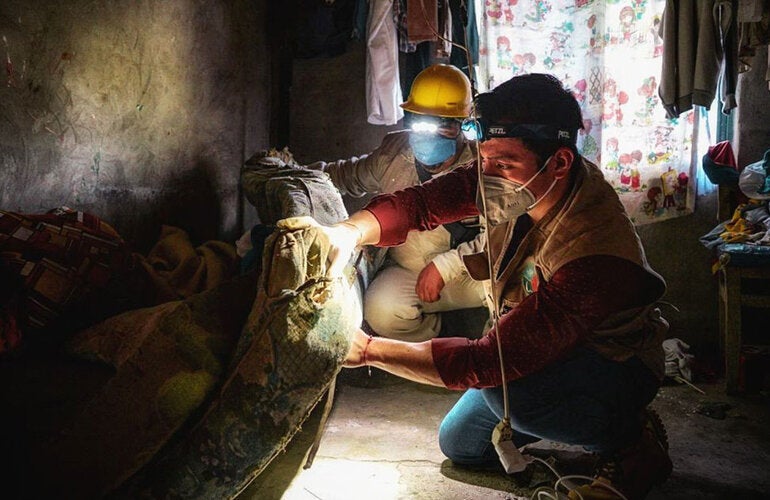 Acciones para controlar la enfermedad de Chagas