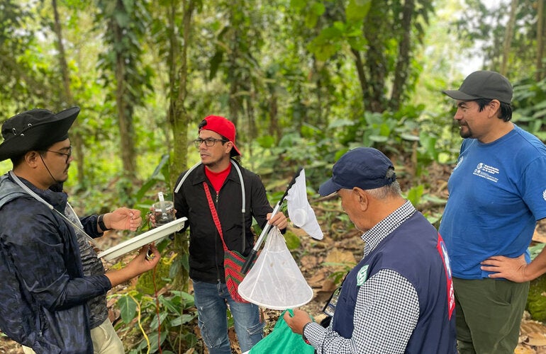 Primates como centinelas: un avance clave en la vigilancia comunitaria de la fiebre amarilla en Colombia