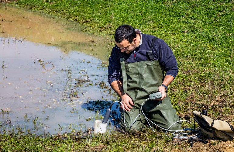 Scientist measuring environmental water quality in a wetland