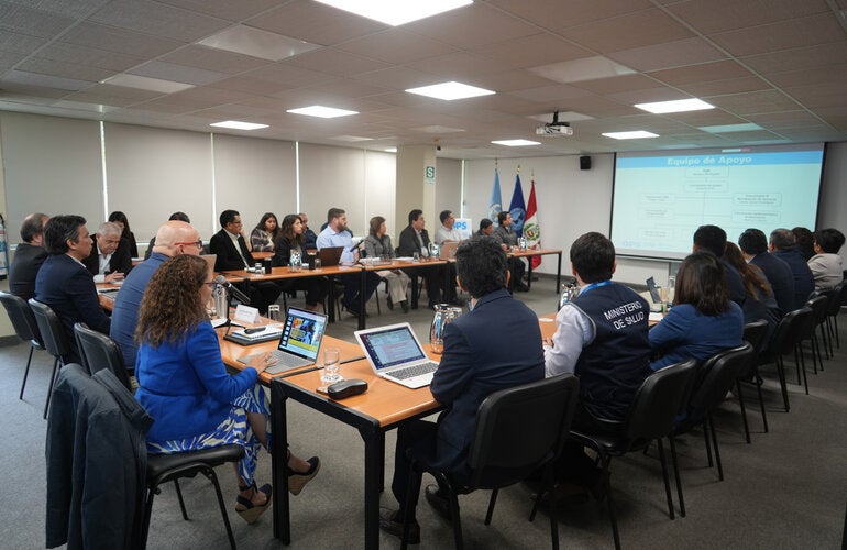 Coordinación técnica para fortalecer la respuesta frente a los casos de fiebre amarilla en Perú