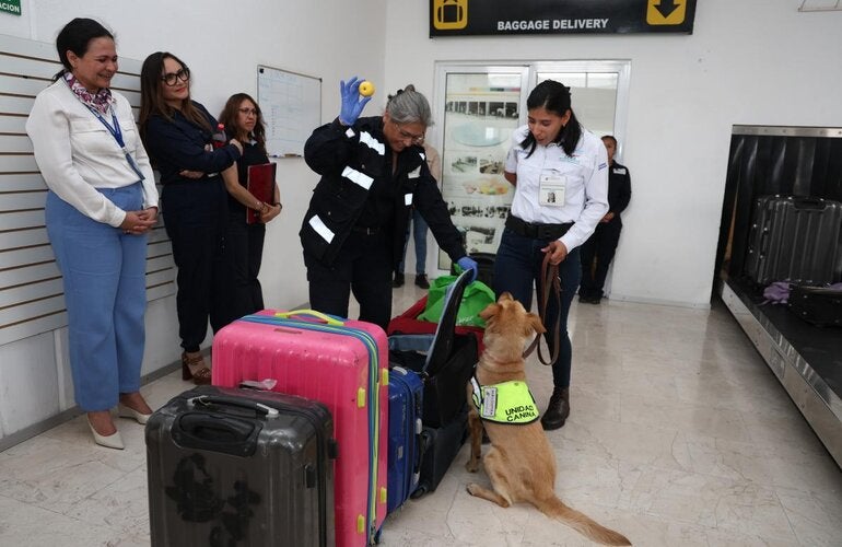 Equipo técnico de la OPS visitó la unidad canina que se entrena en las instalaciones de SENASICA