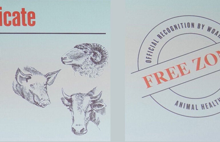 Certificate Free of Foot and Mouth Disease OMSA