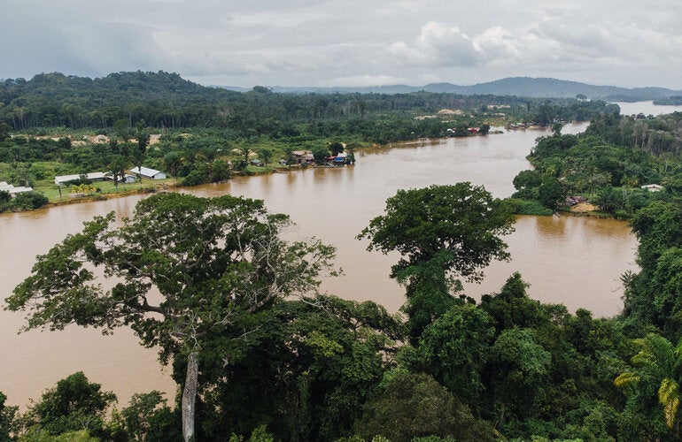 Photo of Suriname's Amazonia region