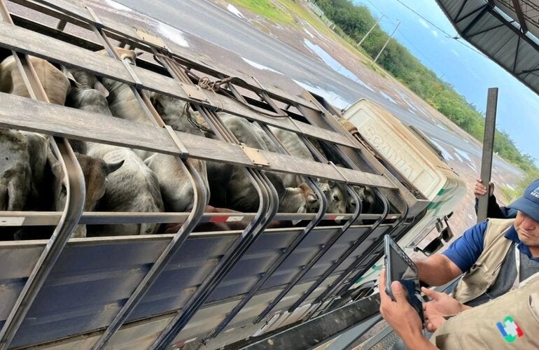 técnicos de SENACSA, Paraguay y camión con ganado