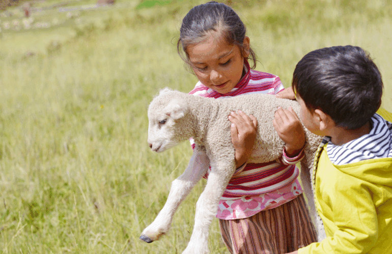 niños con oveja pequeña en brazos