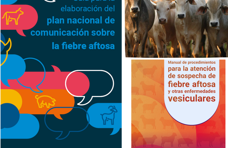 foto de las portadas de la guìa para la elaboración del plan nacional de comunicación sobre la fiebre aftosa y del Manual de procedimintos para la atención de sospecha de fiebre aftosa y otras enfermedades vesiculares junto con una foto de vacas en el campo