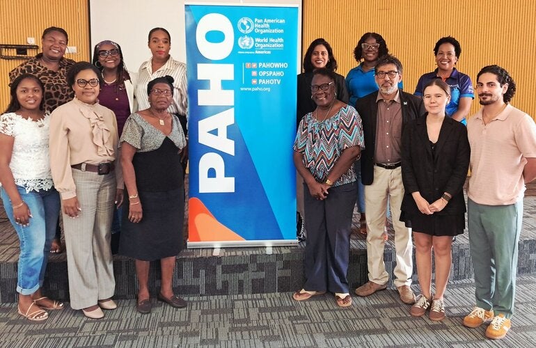 Dominica MH Consultation