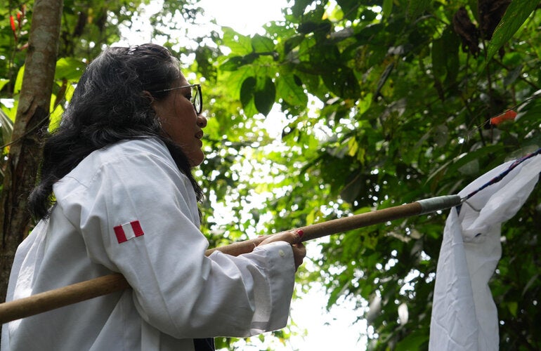 OPS/Adriana Navarro||Personal de salud realizando captura de vectores