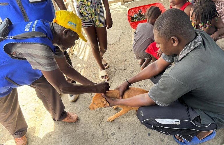 rabies vaccination