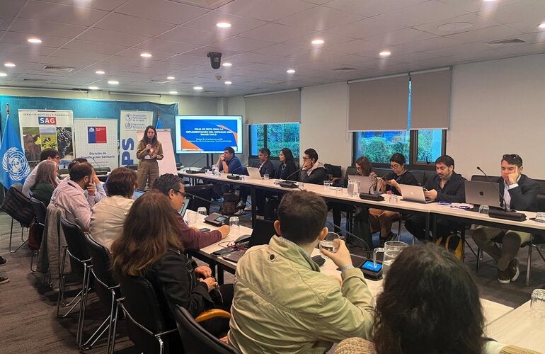 Autoridades de Chile y técnicos de PANAFTOSA-OPS discutiendo la hoja de ruta para la implementación de Una Sola Salud