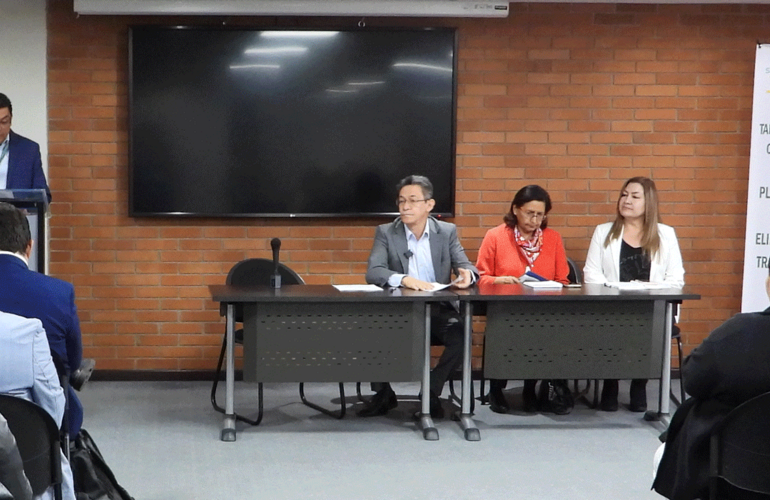 Mesa principal del Taller de eliminacion 2025-2031