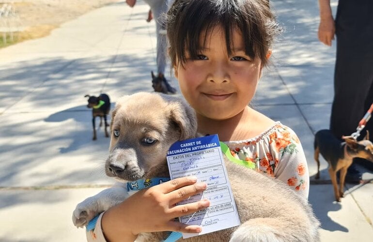 niña con perro en brazos,