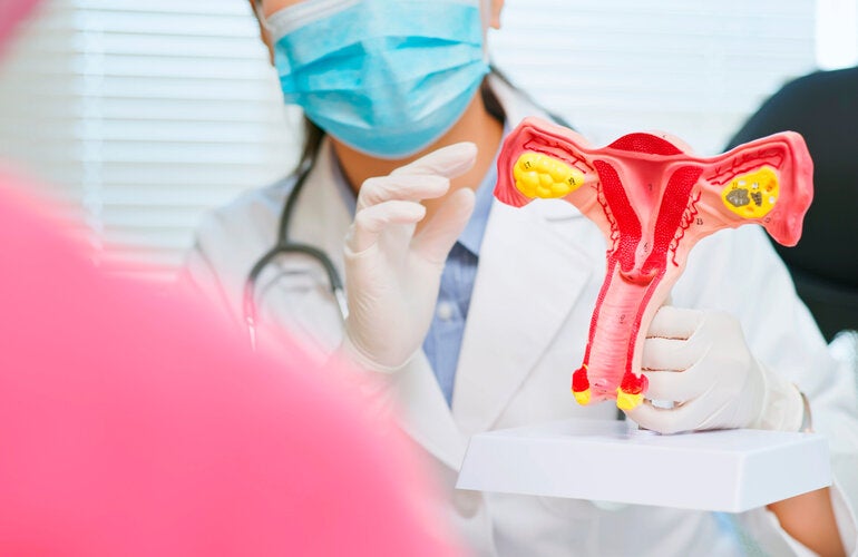 bra-cancer-colo-utero