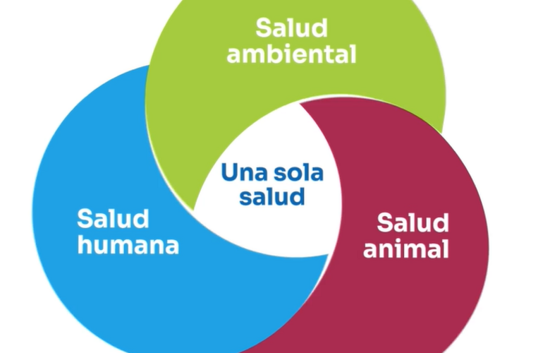 RAM una sola salud URY 
