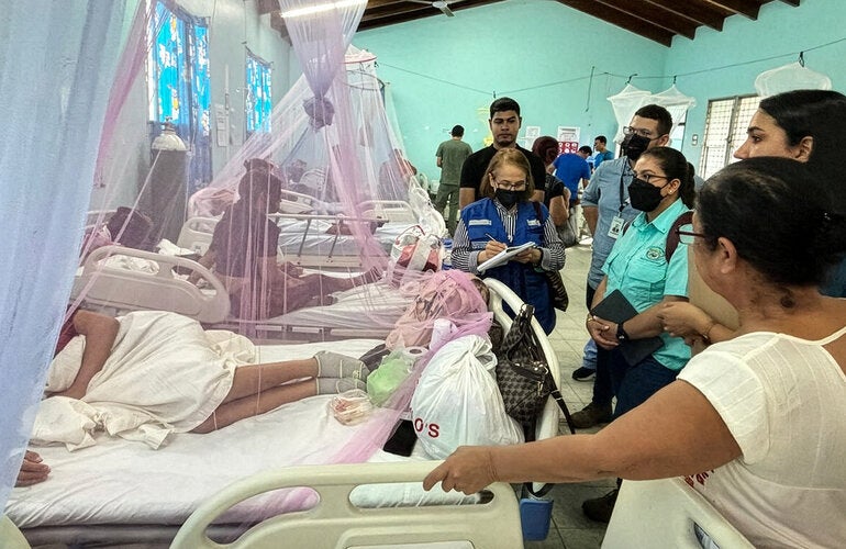 hospitalized dengue patients