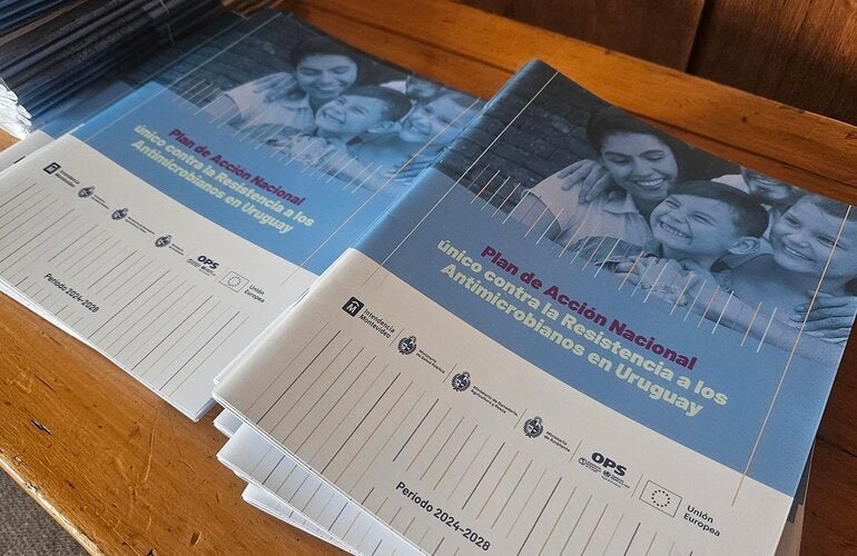 Plan Ram lanzamiento 