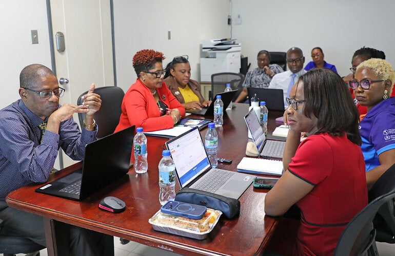 Technical cooperation review meeting