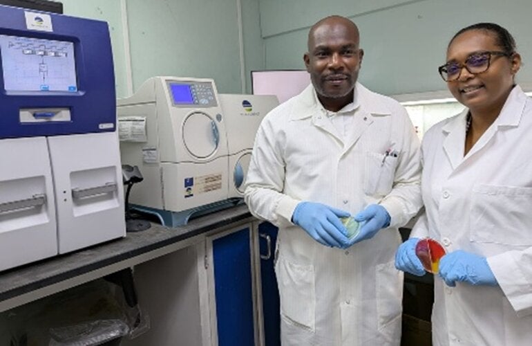 Staff in a laboratory