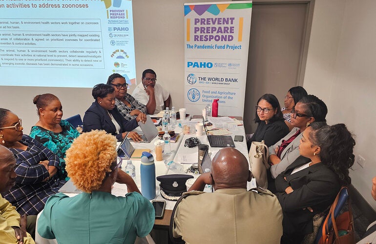 Participants at a workshop