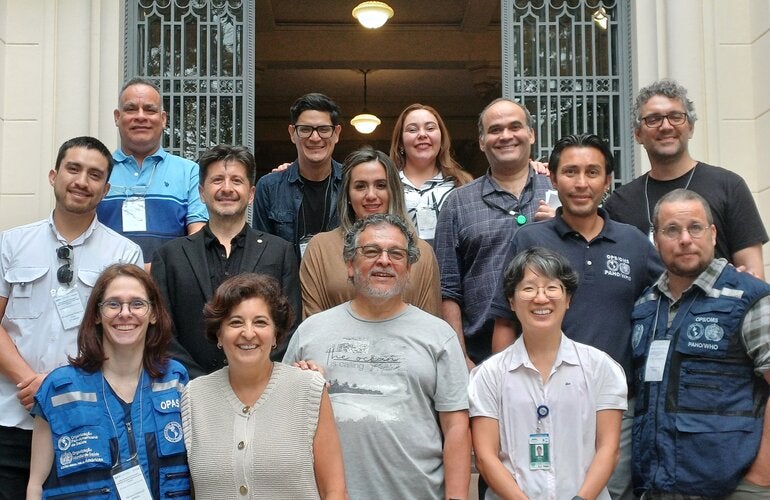 expertos fiebre amarilla Brasil