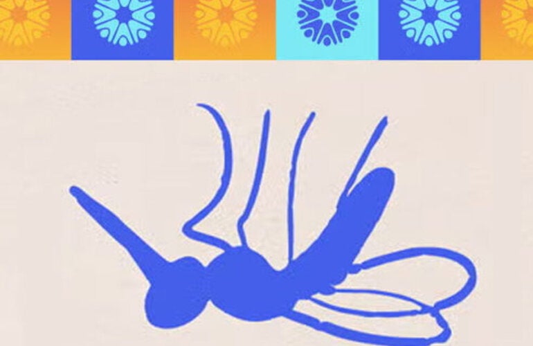 Mosquito 