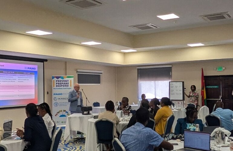 Grenada advances the strategic use of data to strengthen public health