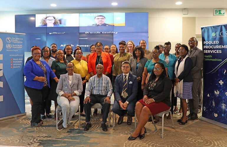 Workshop participants at PAHO OECS-PPS workshop in Saint Lucia