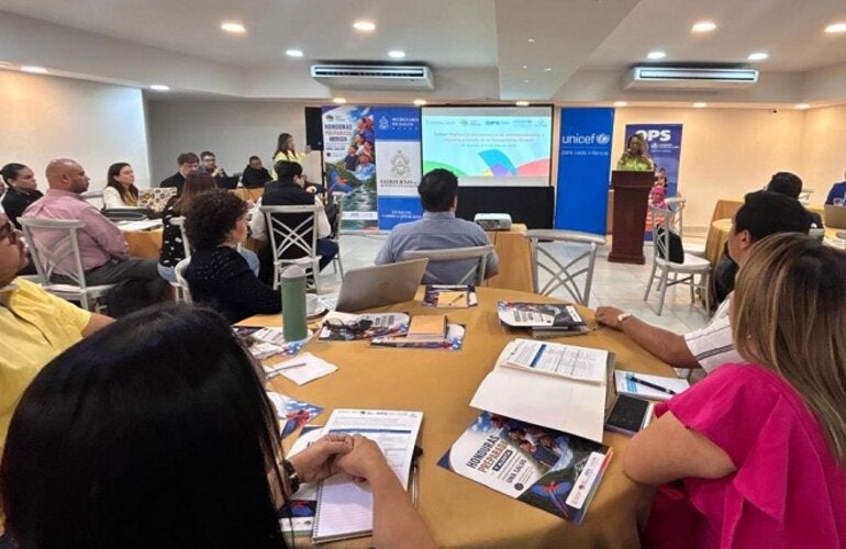 Taller vigilancia de RAM en Honduras