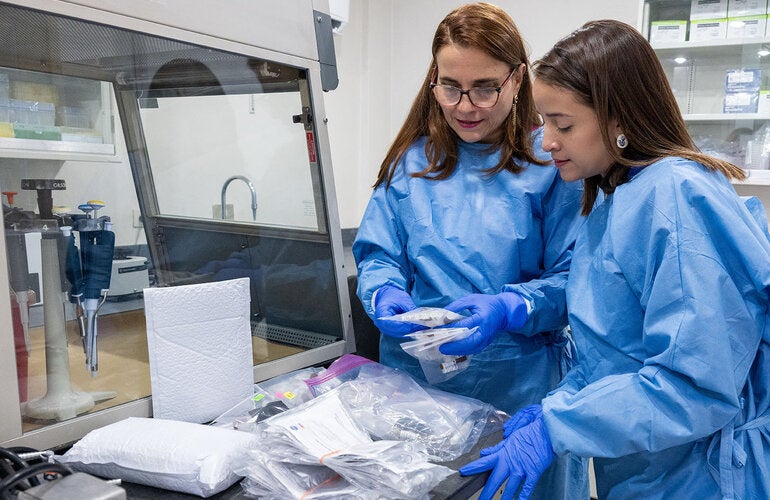 laboratorio