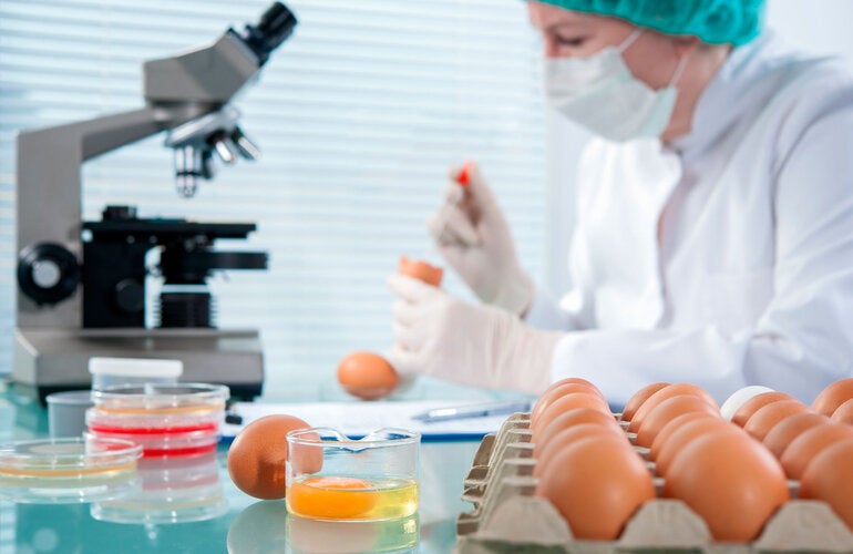técnica de alimentos en laboratorio