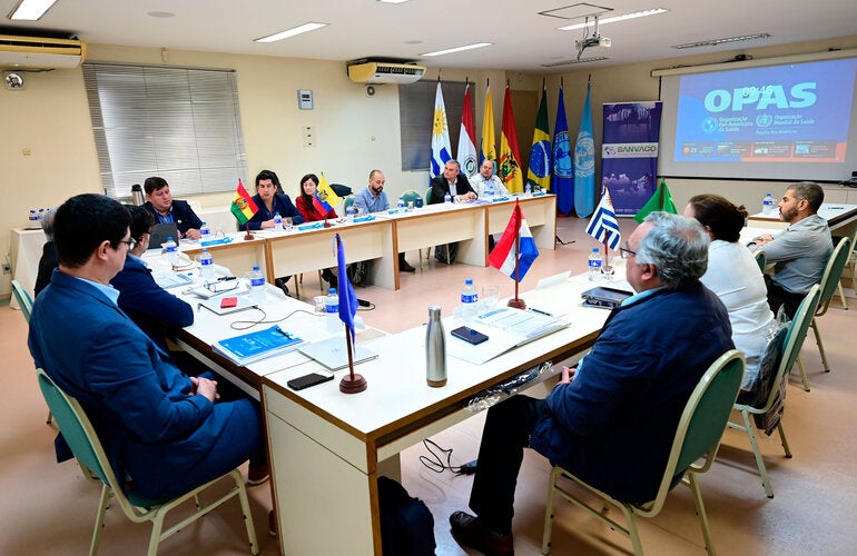 representantes de los países miembros del BANVACO y del sector privado de Bolivia y Brasil, técnicos de PANAFTOSA discutiendo el plan de trabajo en la cuarta  reunión del mecanismo regional 
