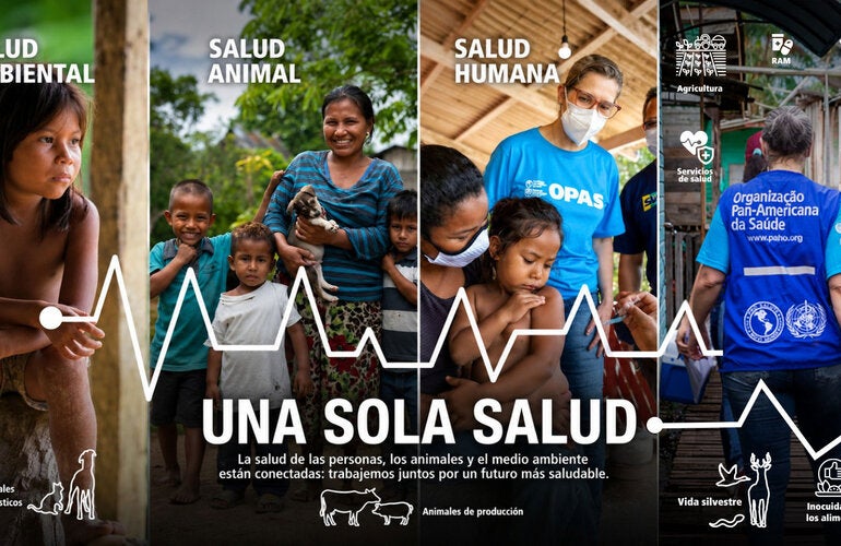 Imágenes que representan el enfoque Una Sola Salud, a través de la salud ambiental, la salud animal y la salud humana
