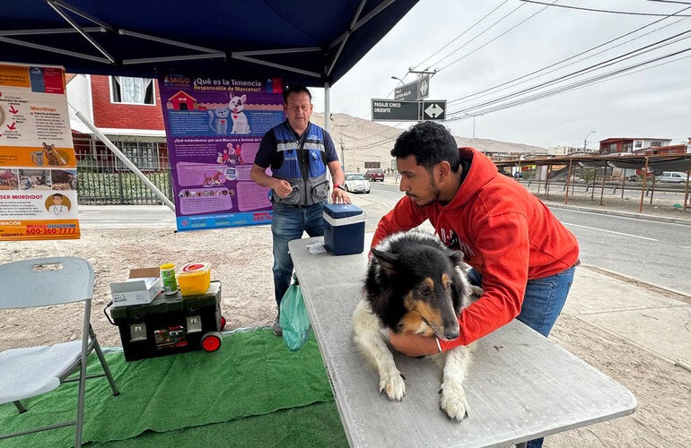 Dog vaccination has been one of Chile's key tools for interrupting rabies transmission and protecting people against the disease.