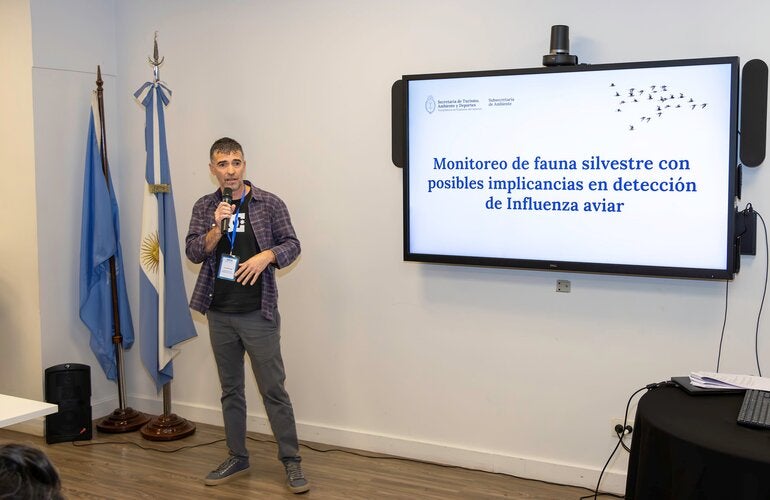 Foto de presentación del área de Ambiente