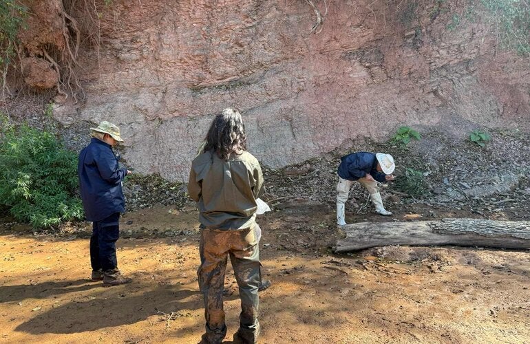 Foto de un búsqueda y captura de insectos