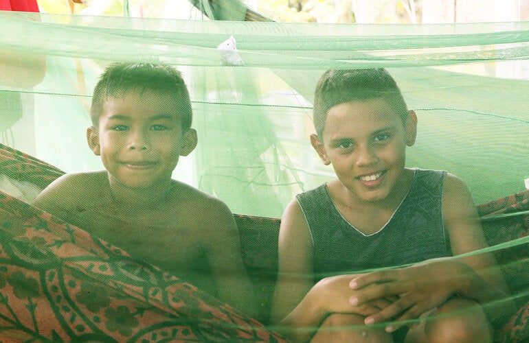 Countries of the Americas. Champions in the fight against malaria