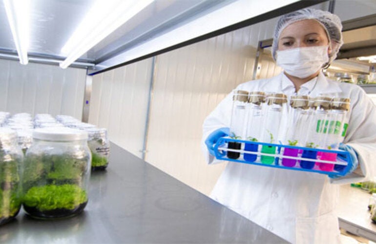 bacteriologa con tubos de ensayo