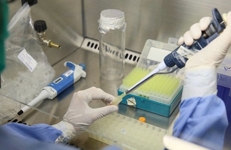 Proceso en laboratorio