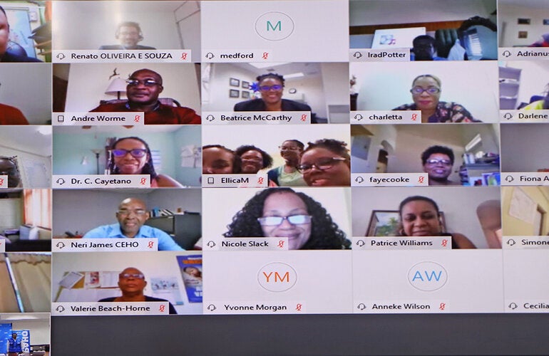 Webinar participants