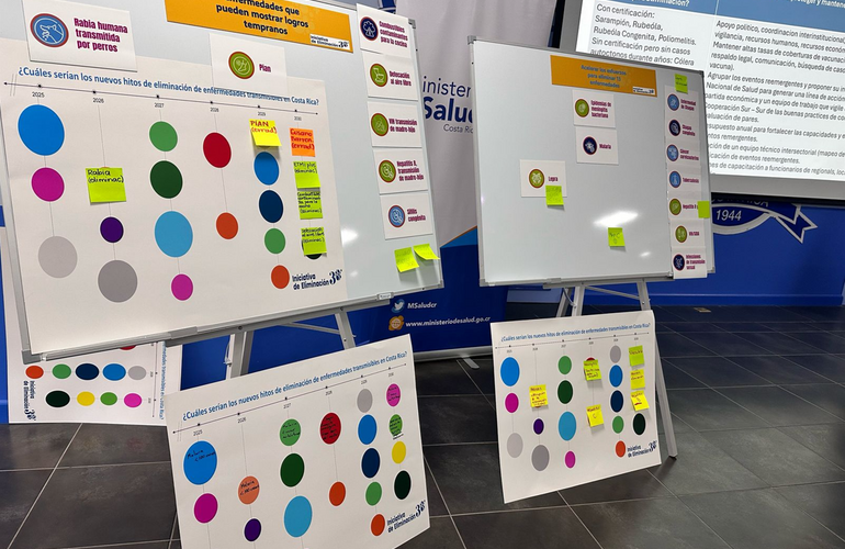 Pizarras con líneas de tiempo completadas por los participantes