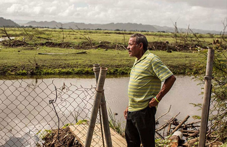 Man looking through fence