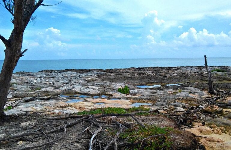Health and Climate: Latin American countries are working together towards building sustainable and climate resilient health systems and reducing emissions in the sector