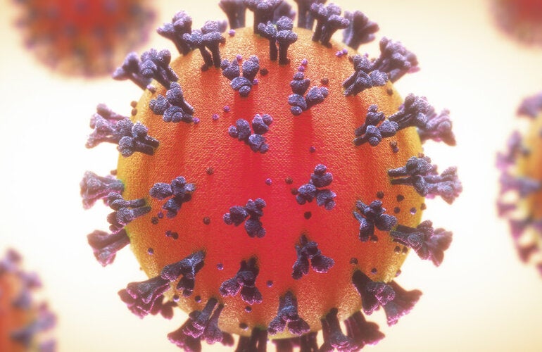 coronavirus