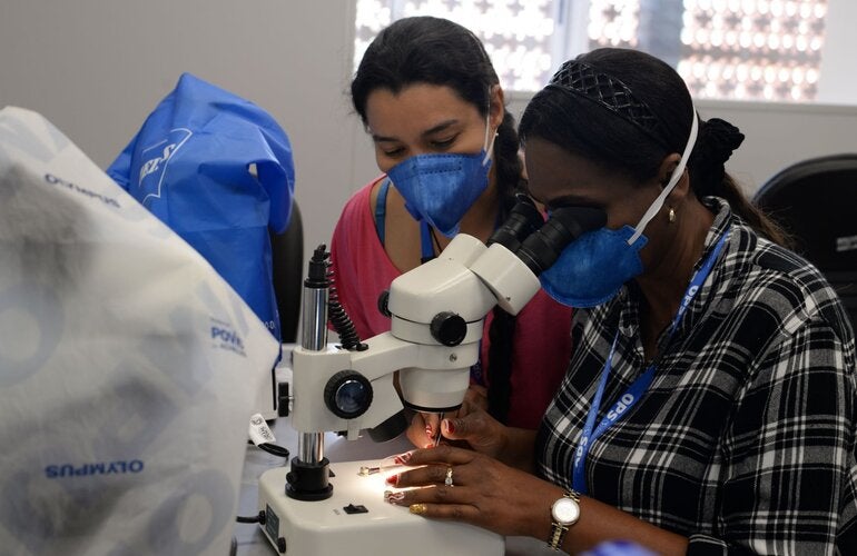 OPS fortalece la vigilancia de los insectos que transmiten leishmaniasis con una capacitación práctica regional en Argentina 