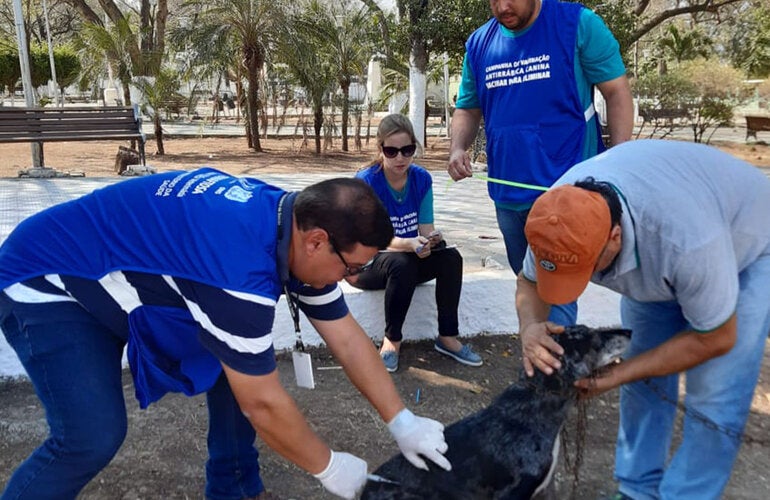 vacunación contra la rabia