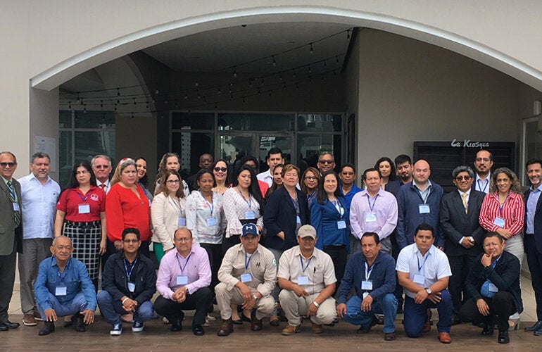 Países buscan fortalecimiento de las estrategias de prevención, control y eliminación de las enfermedades transmitidas por vectores