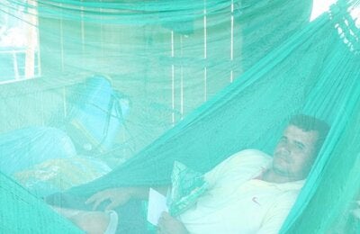 Red para proteger contra las picaduras