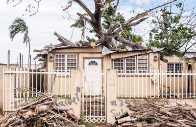 Árbol caído en la parte superior de la casa