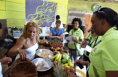 presentations on food security, nutritional security, and social determinants of food safety 